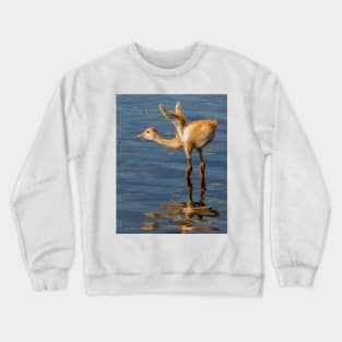 Sandhill crane chick Crewneck Sweatshirt